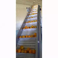 Agro Processing Group - Сушеные фрукты