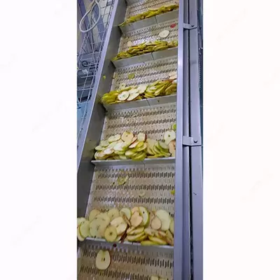 Цена по запросу Сушеные яблоки