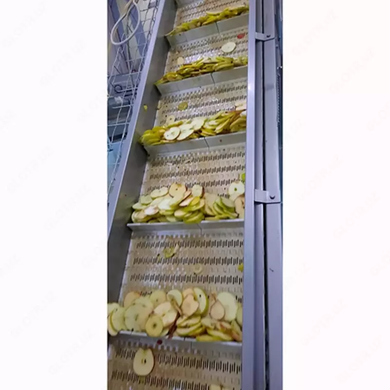 по запросу Сушеные яблоки