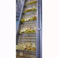 по запросу Сушеные яблоки