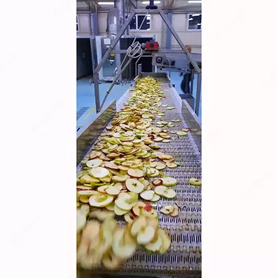 Сушеные яблоки Agro Processing Group