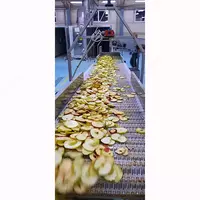 Сушеные яблоки Agro Processing Group