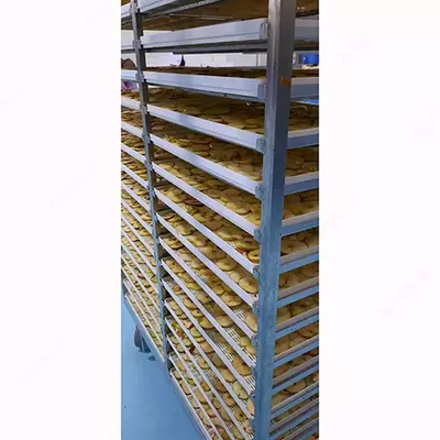 Сушеные яблоки - Agro Processing Group