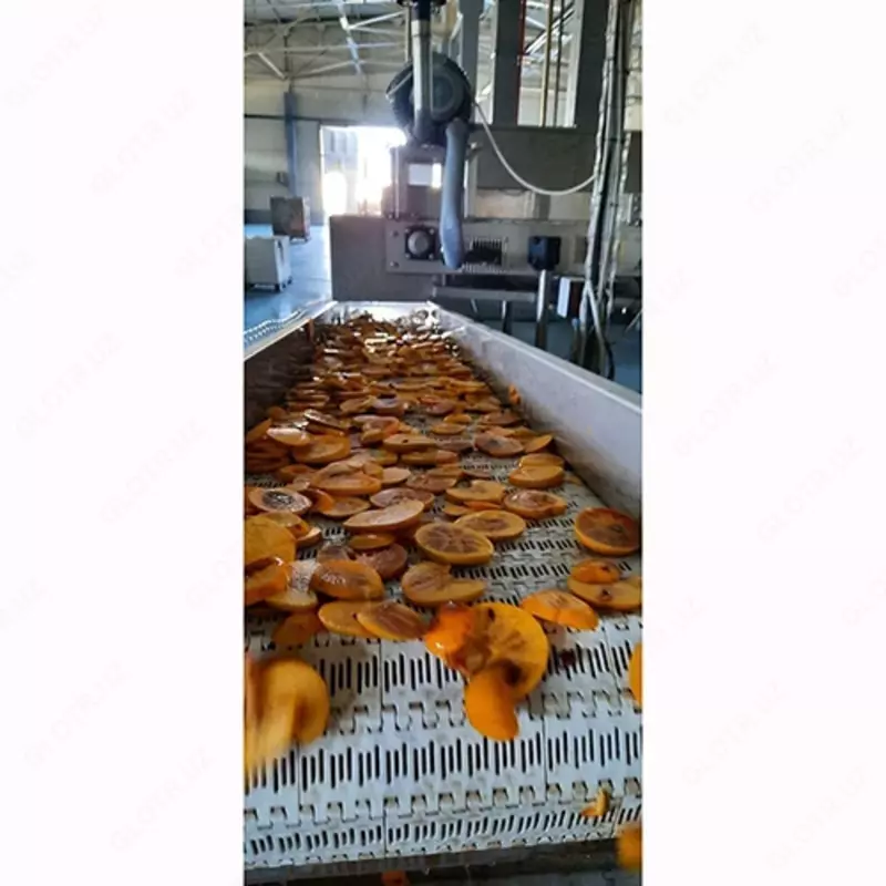 Сушеная хурма - Agro Processing Group