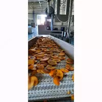 Сушеная хурма - Agro Processing Group