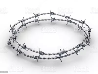 Galvanizli tikanli sim - 12 000 so'm / dona