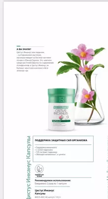 LR hayotidan Cistus Incanus