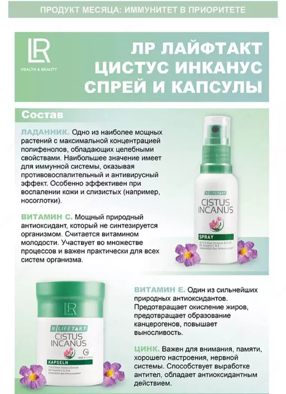 Cistus Incanus срей и капсулы от LR Lifetakt
