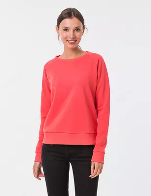 Свитшоты (толстовки) с логотипом в Ташкенте Ulgurji savdo