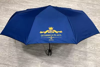 Зонты с логотипом