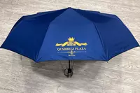 Зонты с логотипом - по запросу