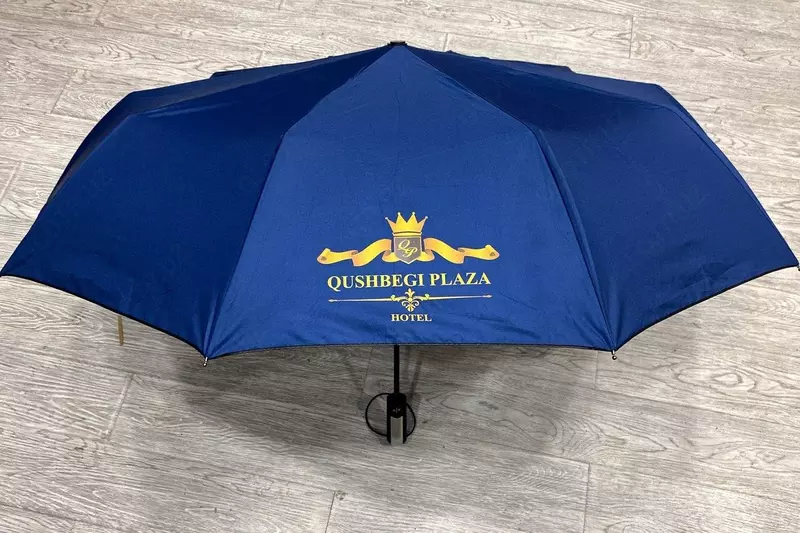 Зонты с логотипом - по запросу