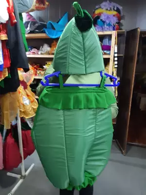 "Bodring" maskarad kostyumi