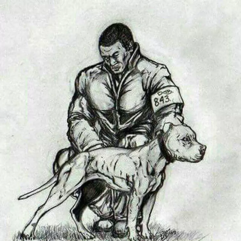 Дрессировка собак в Ташкенте