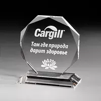 Награды из стекла с логотипом