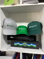 Logotipli qalpoqcha - PRO press