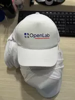 Logotipli qalpoqcha - Kepkalar