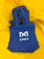  Eko sumka  logotipli shopper (rangli/paxta + poliester) 35*40 sm - 