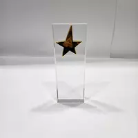 Shisha mukofot ABS/ST-001-2