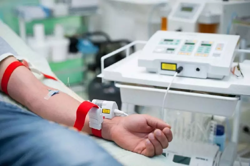 Влок (1 сеанс)