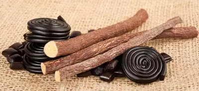 Qizil miyya Ulgurji va chakana