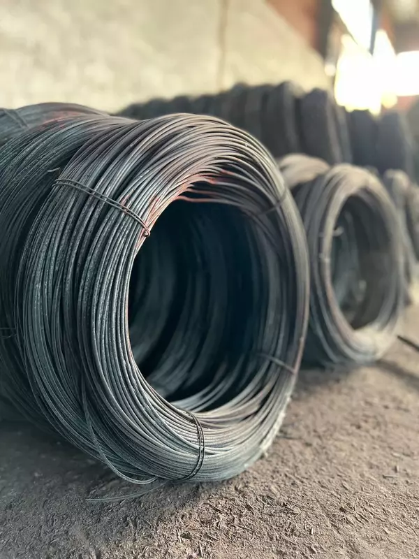 Tel tavlangan (tavlangan) 2