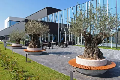 Бетонная скамейка Flying Saurcer (Р4508) - 8 900 000 сум / шт.