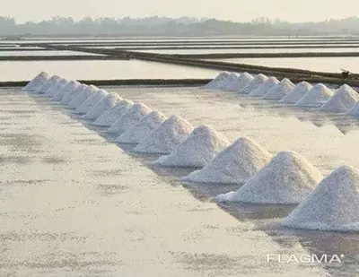 Техническая соль. Высший сорт. Содержание NaCl-99