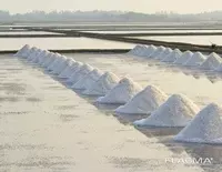 Техническая соль. Высший сорт. Содержание NaCl-99