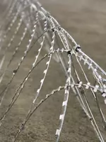 Тикконли сим "Егоза" - Simlar