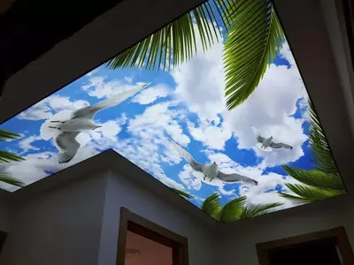 Cho'zilgan ship modeli N1