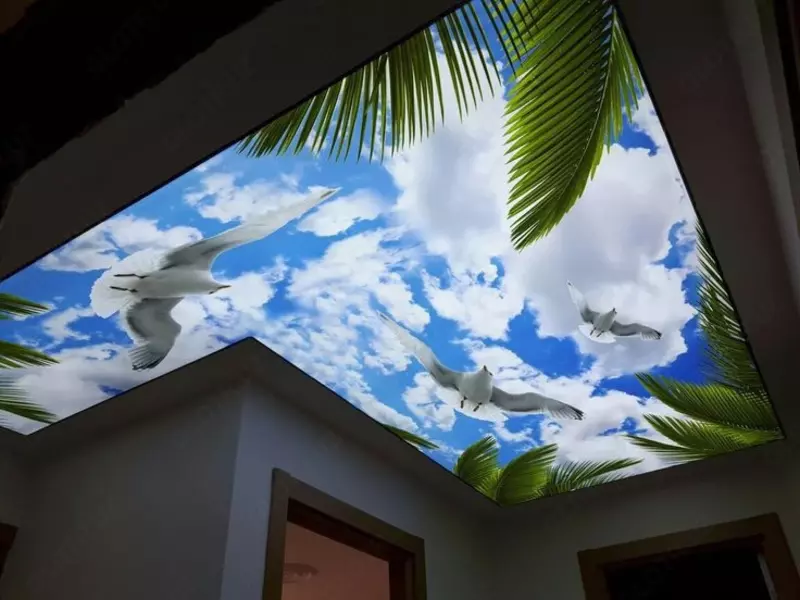 Натяжной потолок Модель N1 - по запросу