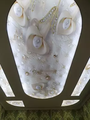 Натяжной потолок Модель N5 - Цена по запросу