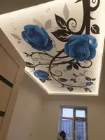 Натяжной потолок Модель N9