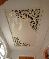 Натяжной потолок с фотопечатью. Модель N14 - по запросу