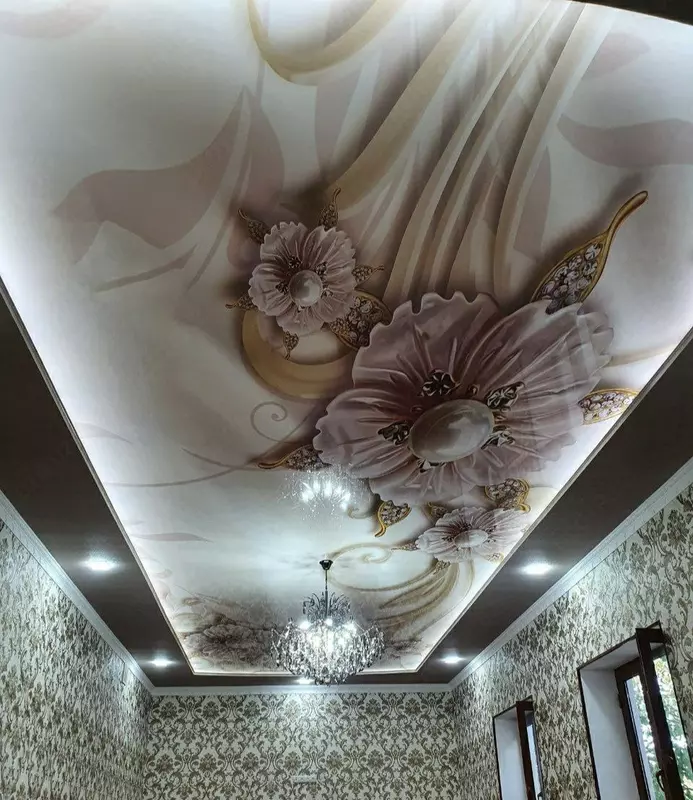 Натяжной потолок с 3D фотопечатью. Модель N21