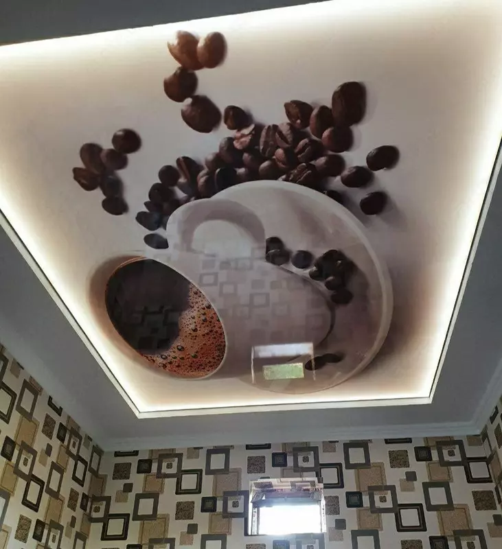 Натяжной потолок с фотопечатью. Модель N22