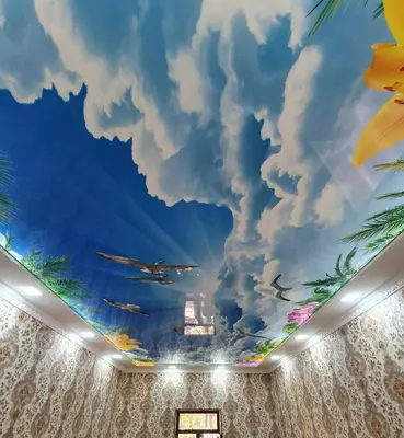 Fotosuratlarni chop etish bilan cho'zilgan ship. Model N24