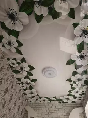 3D fotosuratlarni chop etish bilan cho'zilgan ship. Model N28 - Narx so&#039;rov asosida