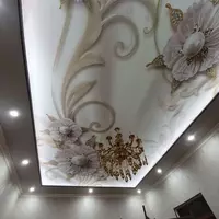 Натяжной потолок с 3D фотопечатью. Модель N21 - по запросу