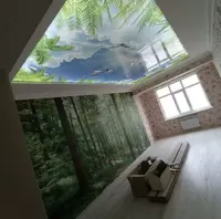 Натяжной потолок с фотопечатью. Модель N32