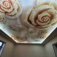 Натяжной потолок с 3D фотопечатью. Модель N41