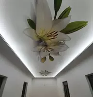 Натяжной потолок с фотопечатью. Модель N51