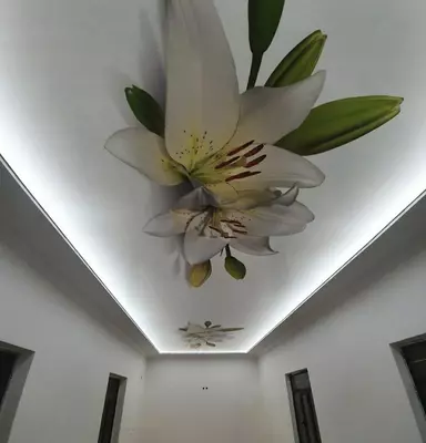 Fotosuratlarni chop etish bilan cho'zilgan ship. Model N51