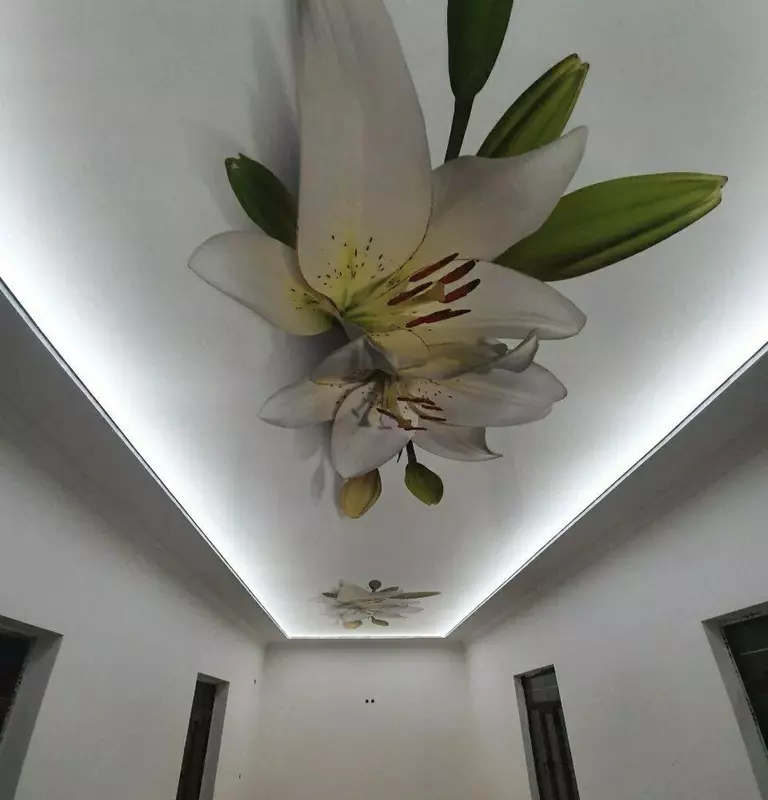 Натяжной потолок с фотопечатью. Модель N51 - по запросу