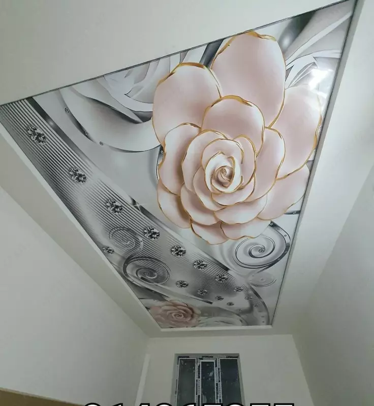 Натяжной потолок с 3D фотопечатью. Модель N60 - по запросу