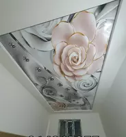 Натяжной потолок с 3D фотопечатью. Модель N60 - по запросу