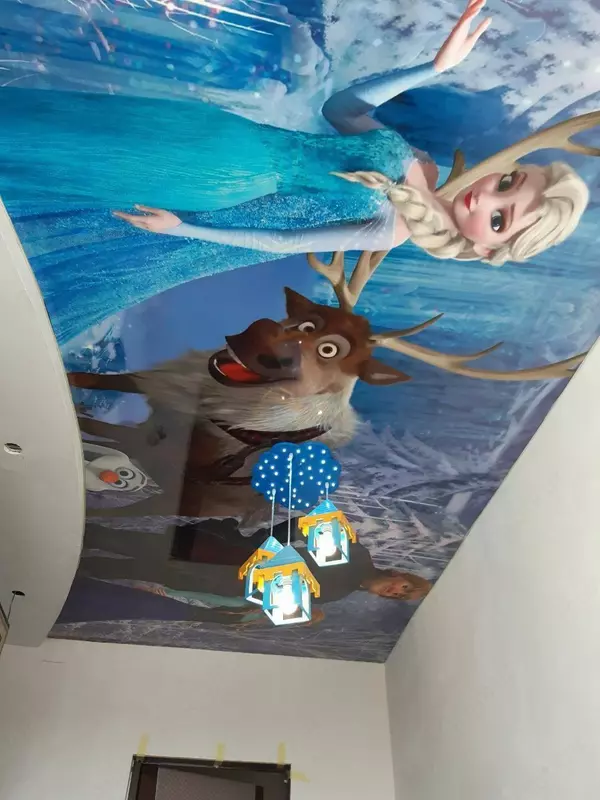 Fotosuratlarni chop etish bilan cho'zilgan ship. Model N68