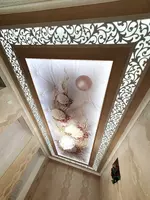 Натяжной потолок с фотопечатью. Модель N81