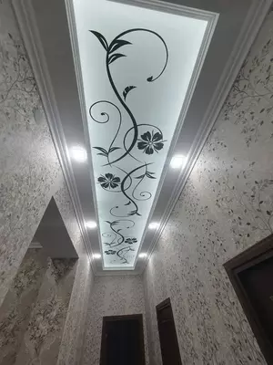 Shaffof cho'zilgan ship. Model N84